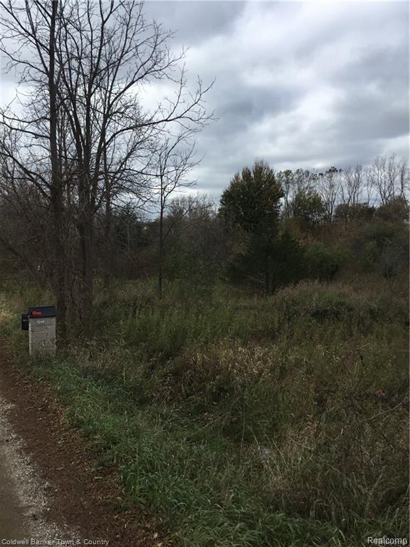 2 Braden Road Perry, MI 48872 - Photo 3 of 6