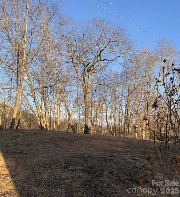 5 Loop Road Candler, NC 28715 - Photo 15 of 17 a view of large trees with lots of trees