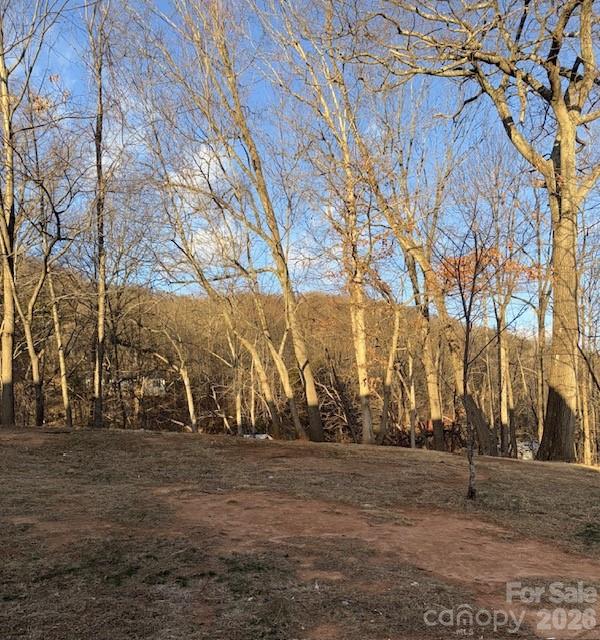 5 Loop Road Candler, NC 28715 - Photo 16 of 17 a view of outdoor space with fountain