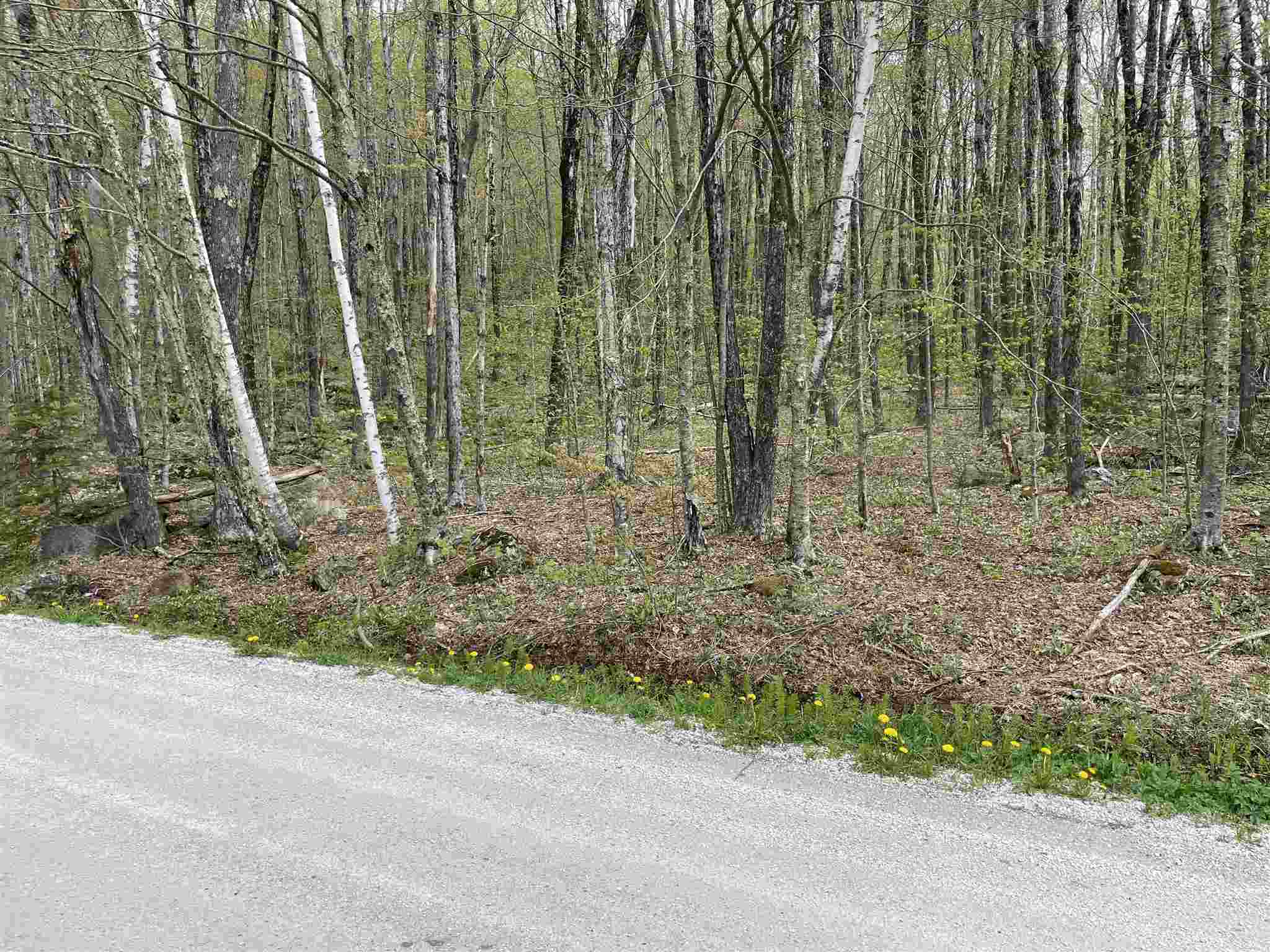 35 Heather Lane Mendon, VT 05751 - Photo 4 of 4