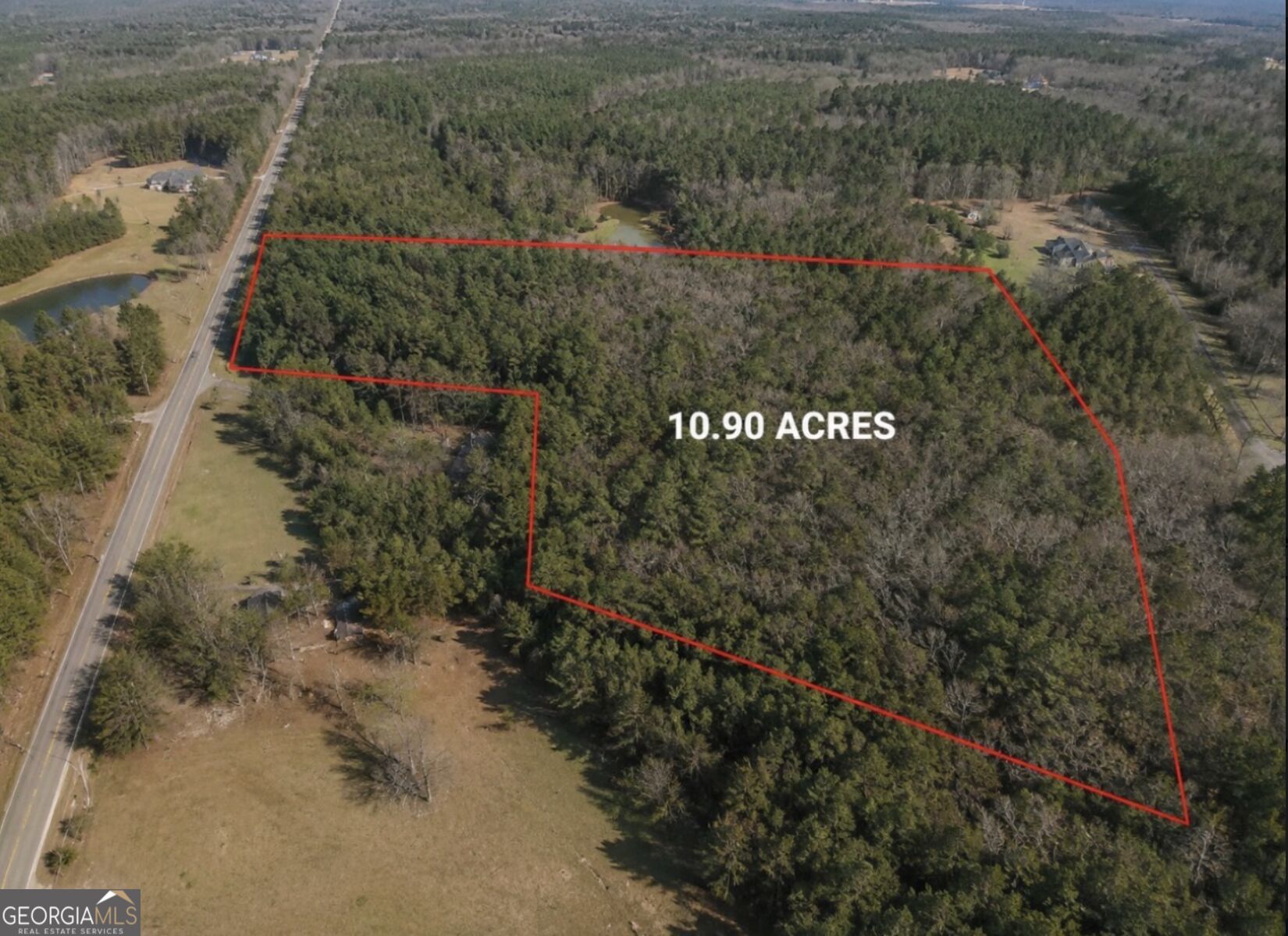 0 Lee Thompson Road Moreland, GA 30259 - Photo 5 of 5 Gallery Image 5