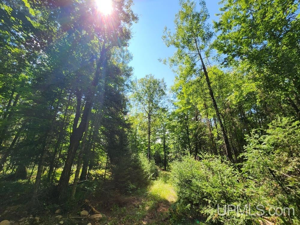 2.63-acres Sheltrow Road, Unit LOT 6PAINT RIVER HIGHLAN Crystal Falls, MI 49920 - Photo 35 of 53 Gallery Image 35