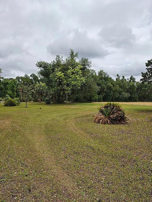 3475 Cash Road Perry, FL 32348 - Photo 3 of 16