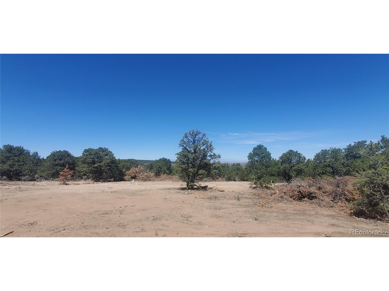 1321 Michaels Road San Luis, CO 81152 - Photo 3 of 17