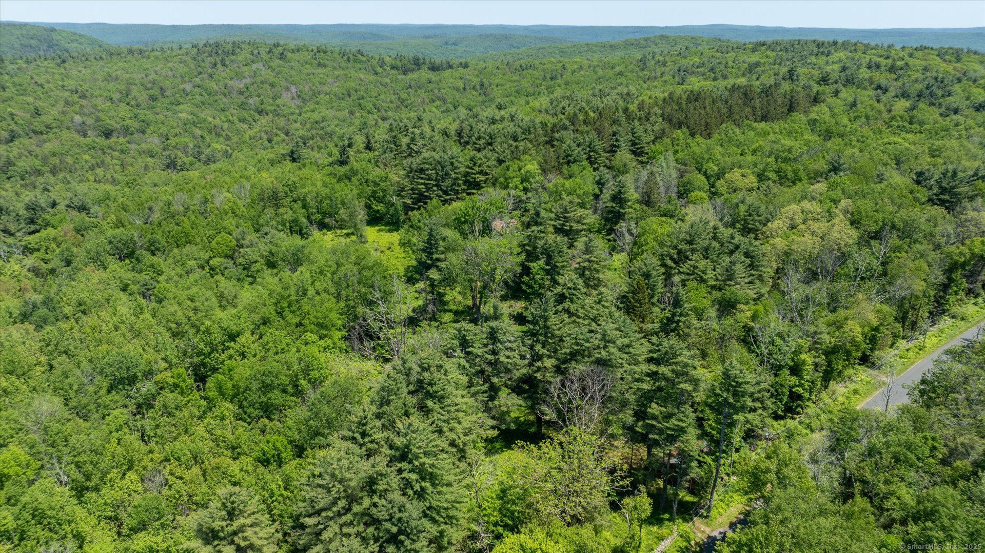 a view of a lush green forest with lots of trees