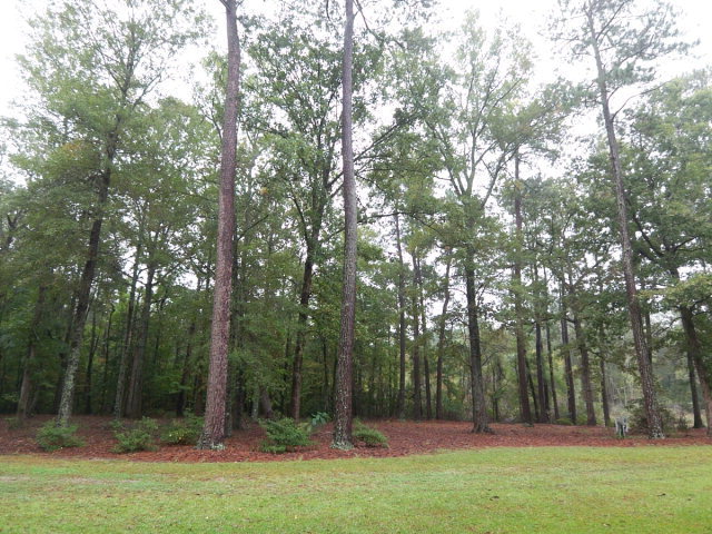 0 Smith Road Belhaven, NC 27810 - Photo 1 of 2 Primary Photo