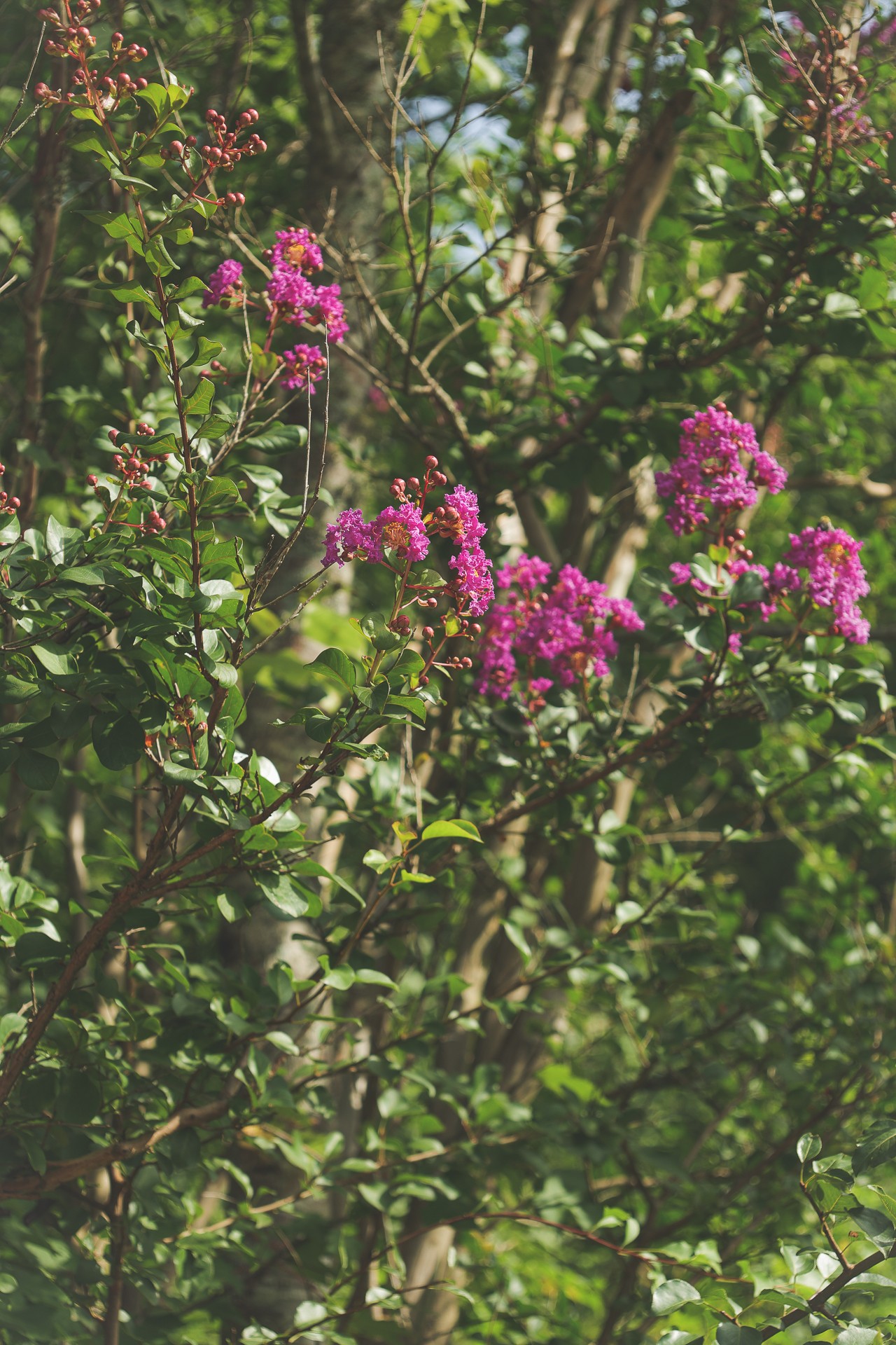 555 Lay Hollow Road Waynesboro, TN 38485 - Photo 11 of 68 a flower view in front of a house