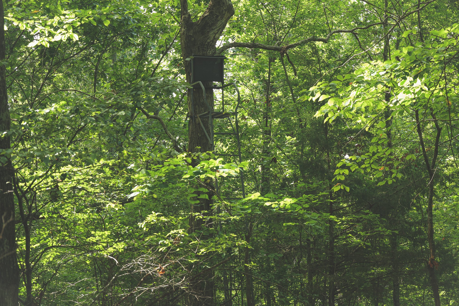 555 Lay Hollow Road Waynesboro, TN 38485 - Photo 32 of 68