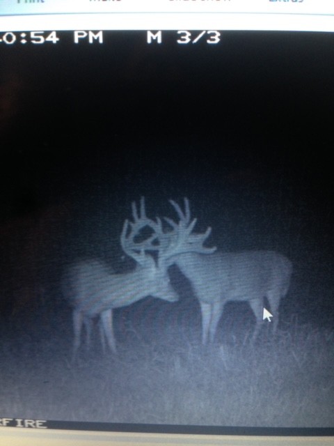 555 Lay Hollow Road Waynesboro, TN 38485 - Photo 4 of 68