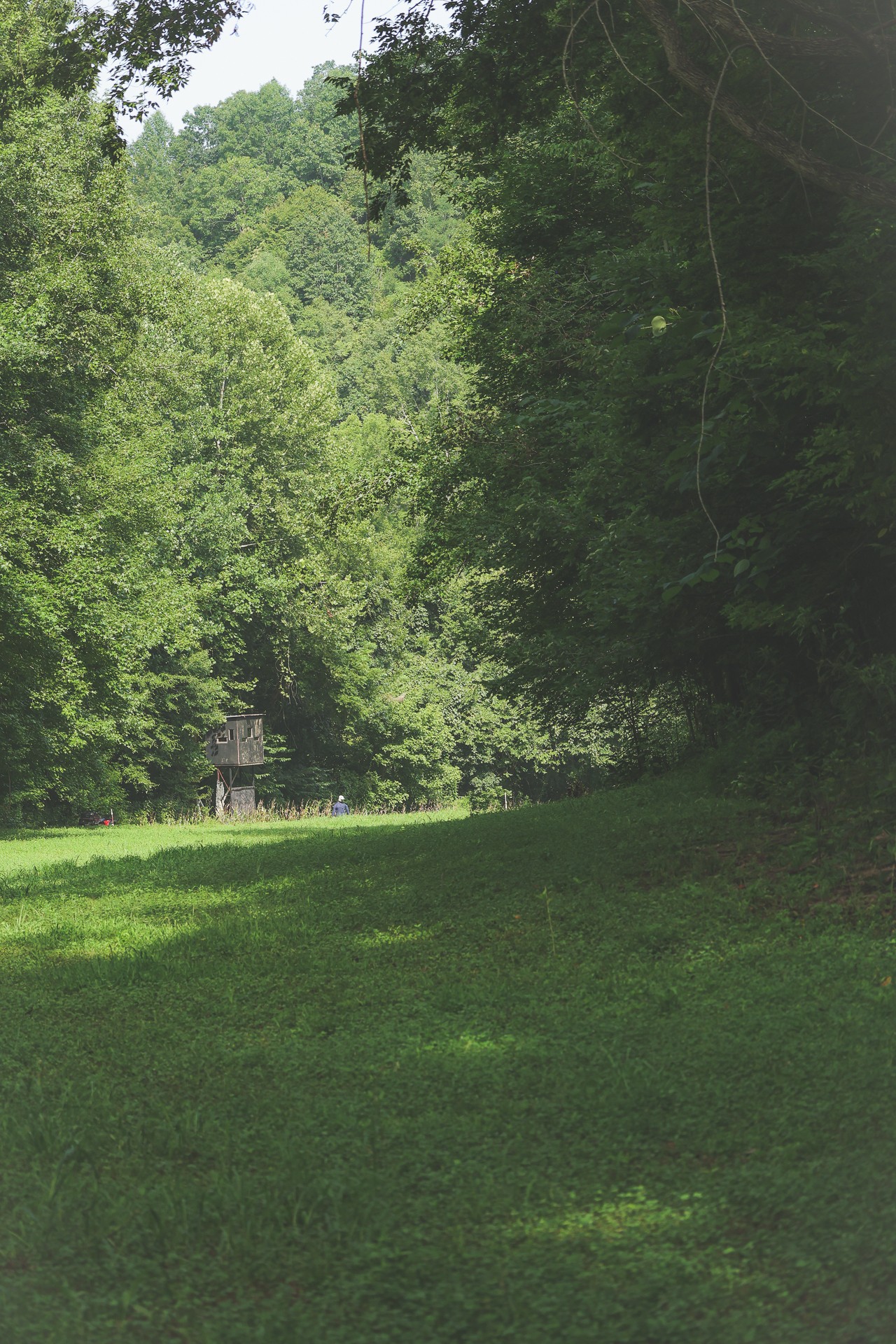 555 Lay Hollow Road Waynesboro, TN 38485 - Photo 41 of 68