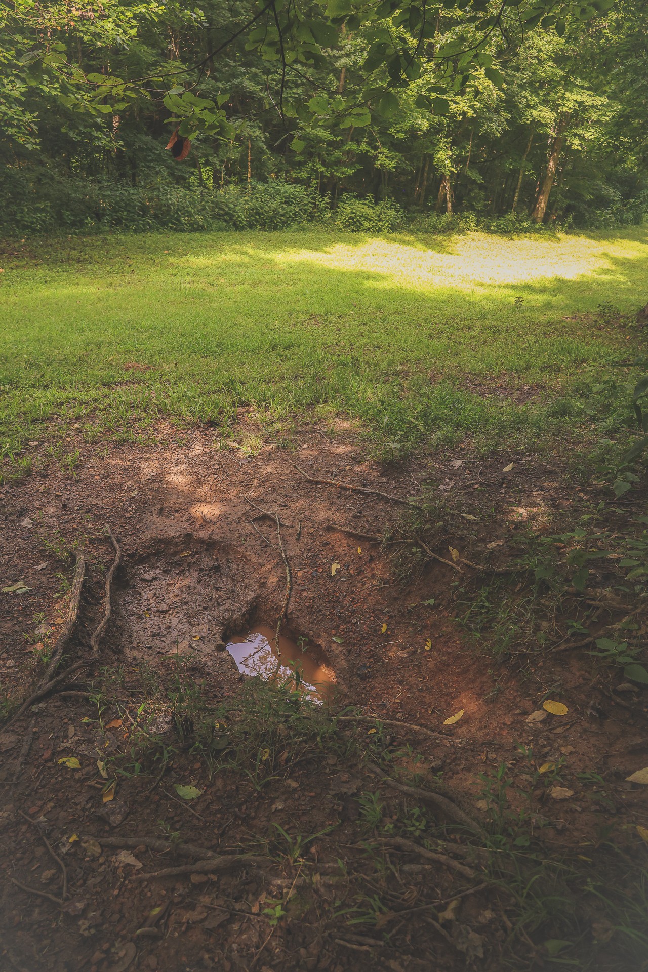 555 Lay Hollow Road Waynesboro, TN 38485 - Photo 43 of 68