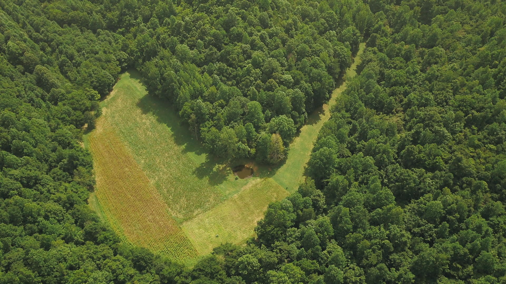 555 Lay Hollow Road Waynesboro, TN 38485 - Photo 58 of 68