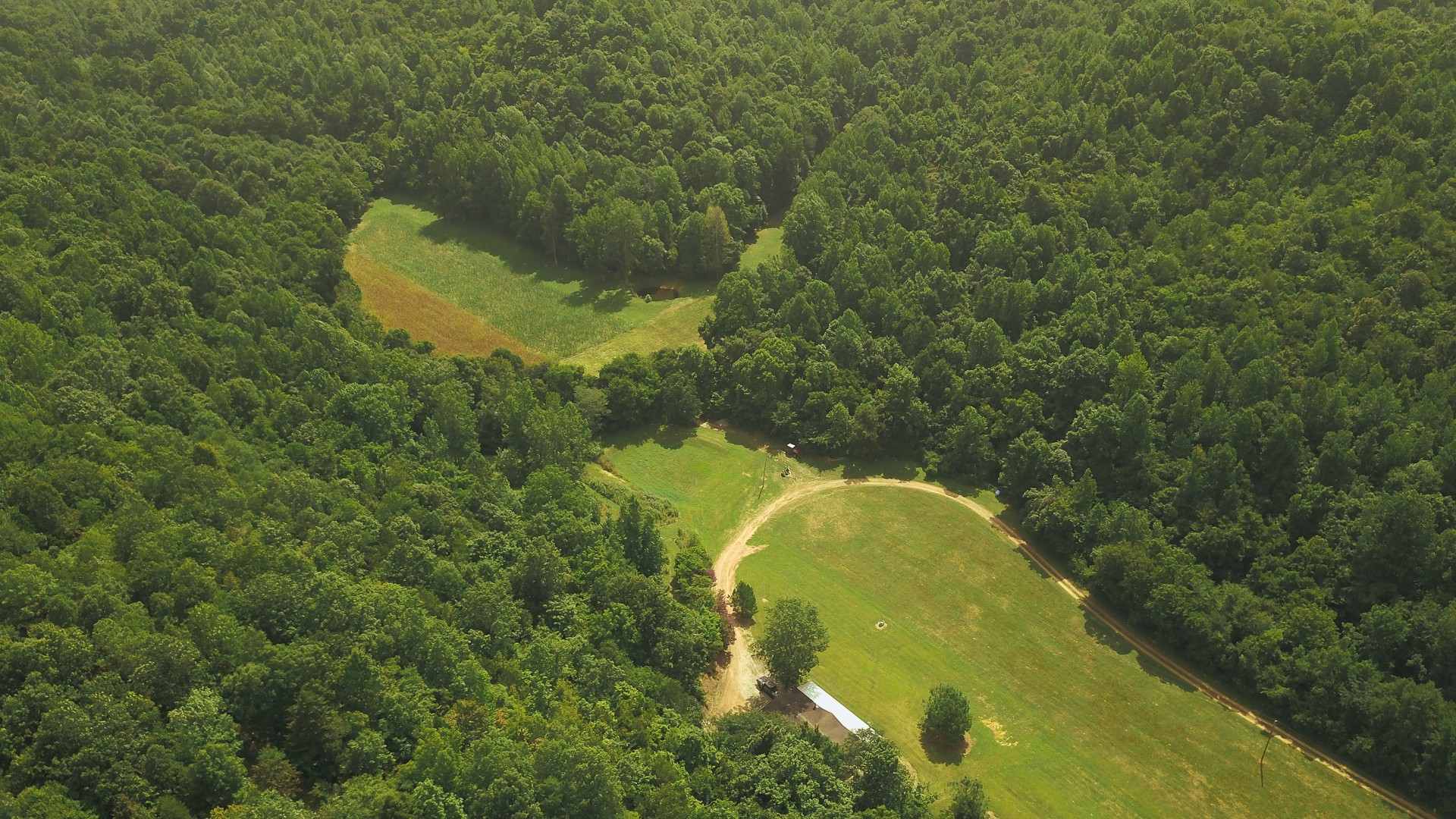 555 Lay Hollow Road Waynesboro, TN 38485 - Photo 59 of 68 a aerial view of a house with a yard and trees