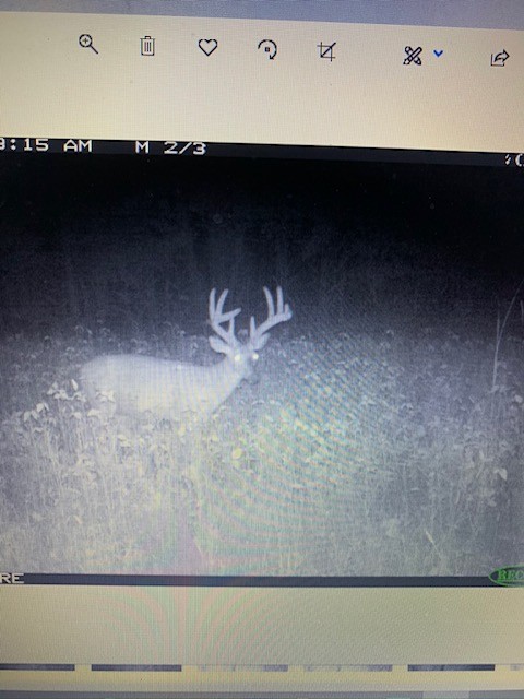 555 Lay Hollow Road Waynesboro, TN 38485 - Photo 6 of 68