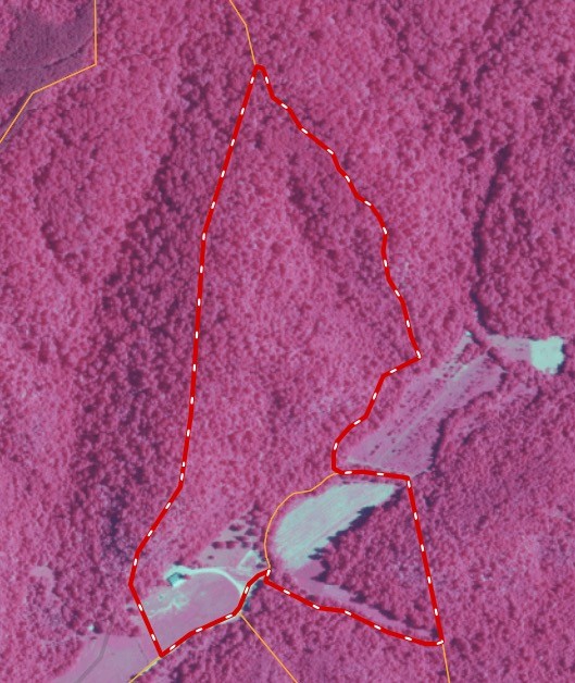 555 Lay Hollow Road Waynesboro, TN 38485 - Photo 67 of 68