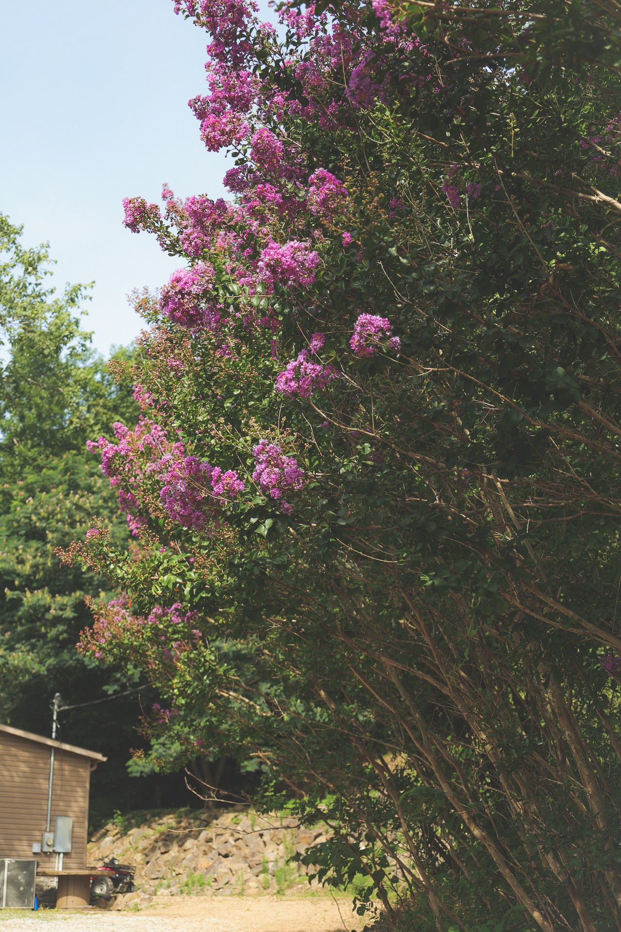 555 Lay Hollow Road Waynesboro, TN 38485 - Photo 10 of 68