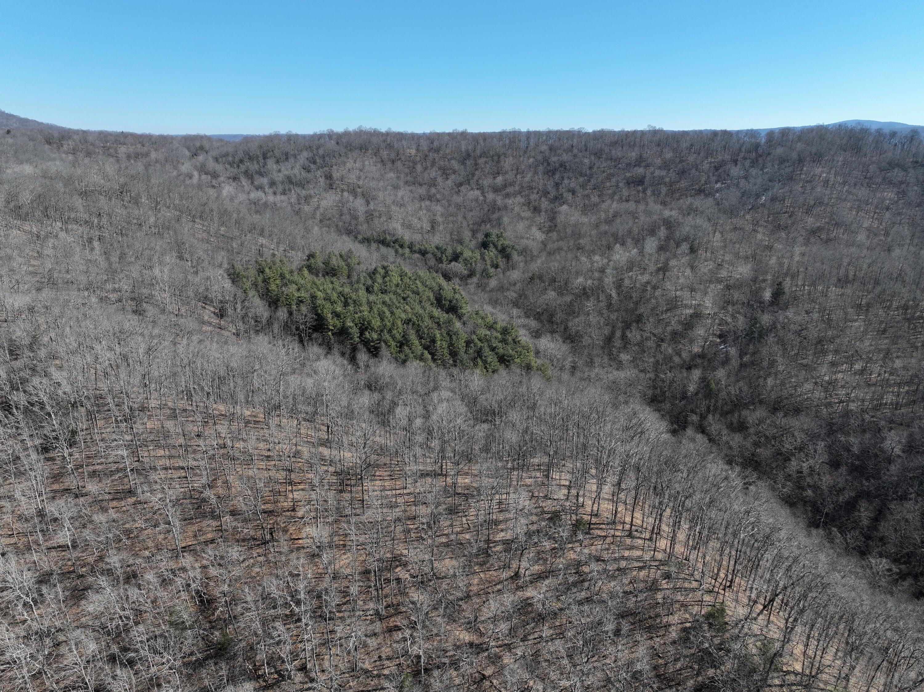 2360 Robins Fork Road Renick, WV 24966 - Photo 8 of 13 Gallery Image 8
