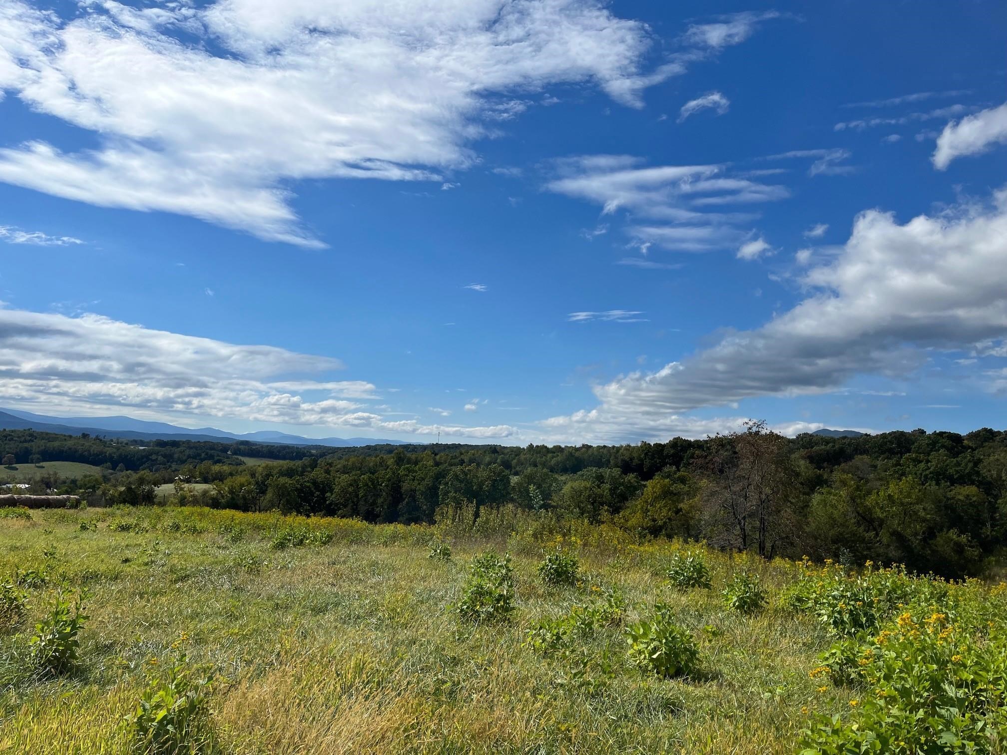 0 Sunnyside Road Shenandoah, VA 22849 - Photo 3 of 16 Gallery Image 3