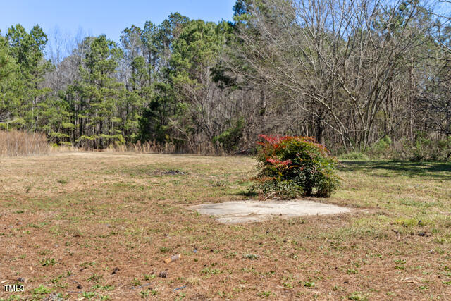 1512 Broken Road Bailey, NC 27807 - Photo 4 of 26 a view of a yard with a tree