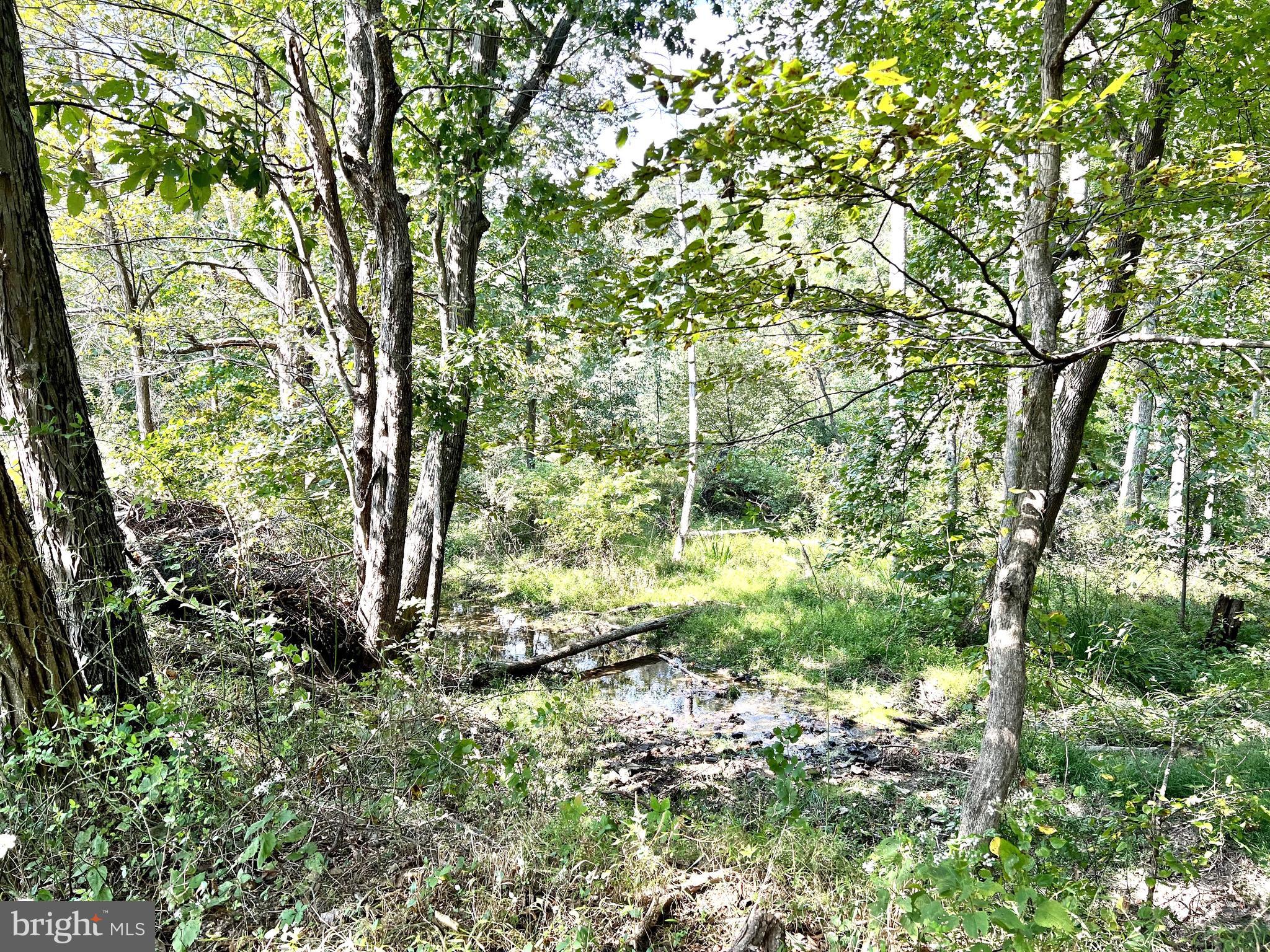 12378 Harvey Road Clear Spring, MD 21722 - Photo 3 of 5