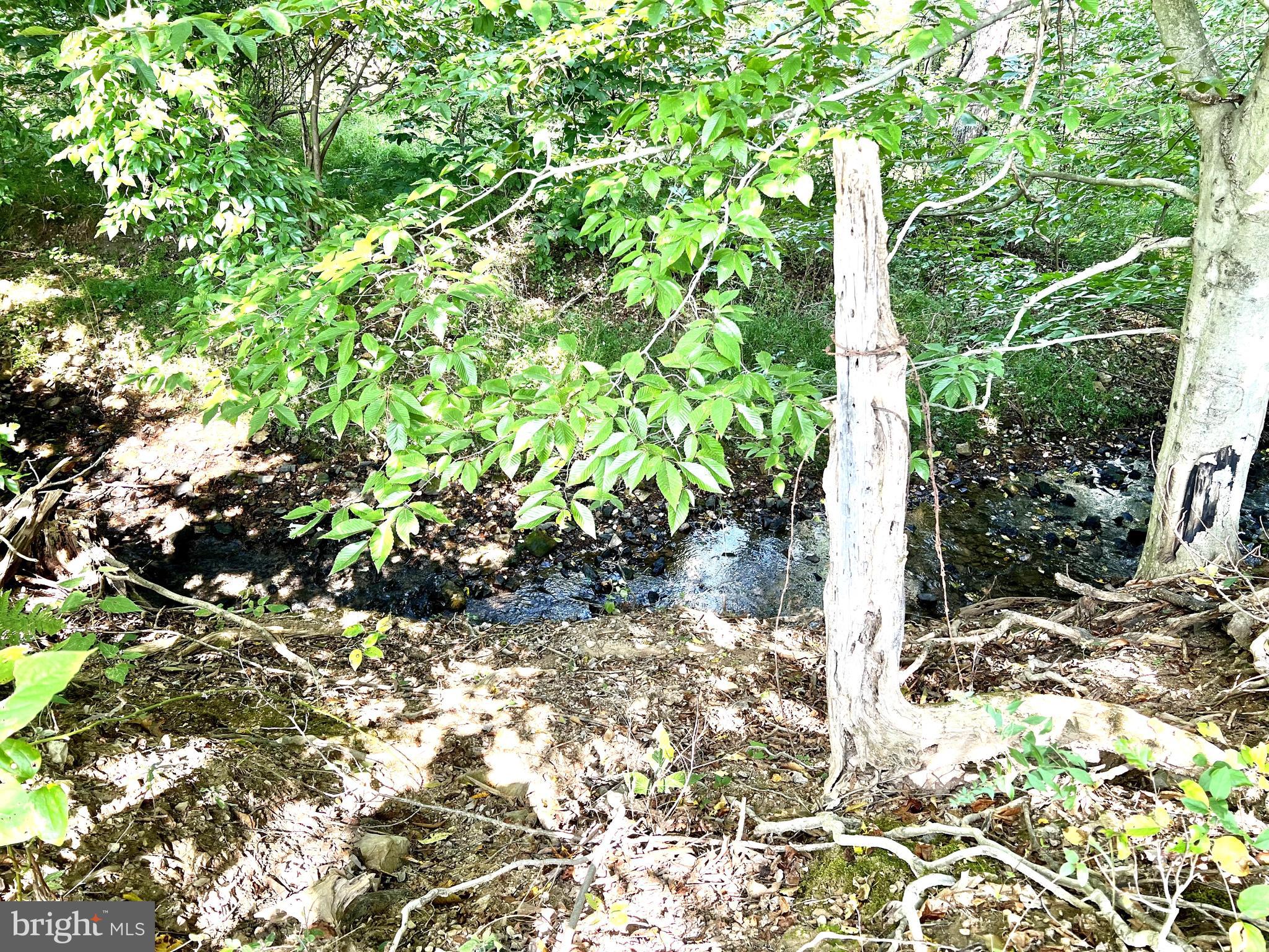 12378 Harvey Road Clear Spring, MD 21722 - Photo 4 of 5