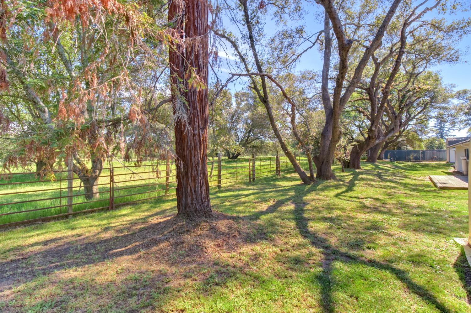 3899 Martin Lane Loomis, CA 95650 - Photo 41 of 72