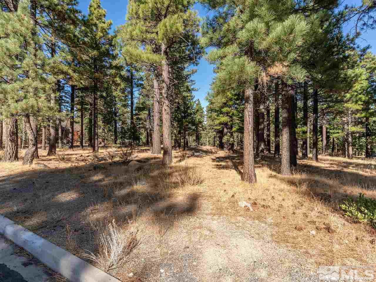 4665 Alpes Way, Unit 301S1 Reno, NV 89511 - Photo 5 of 17 Photo 5