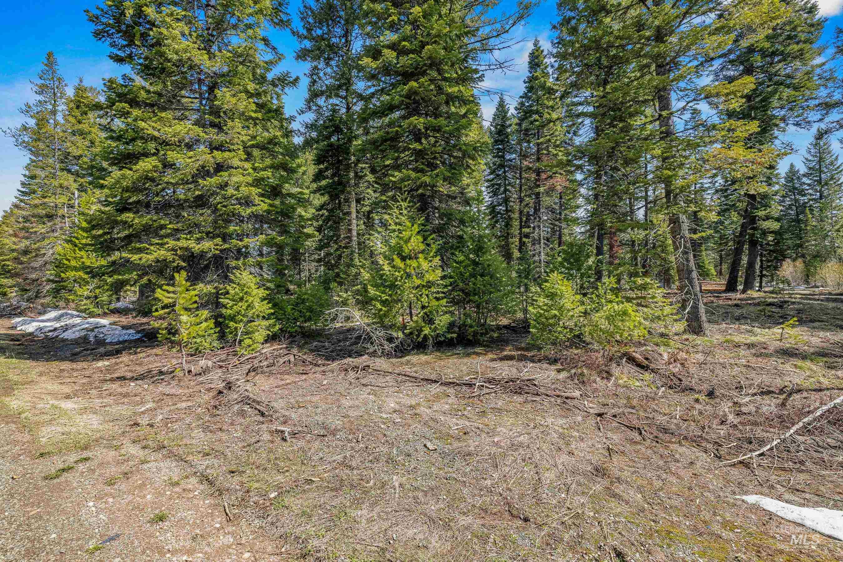 2144 Christie Road Donnelly, ID 83615 - Photo 7 of 31