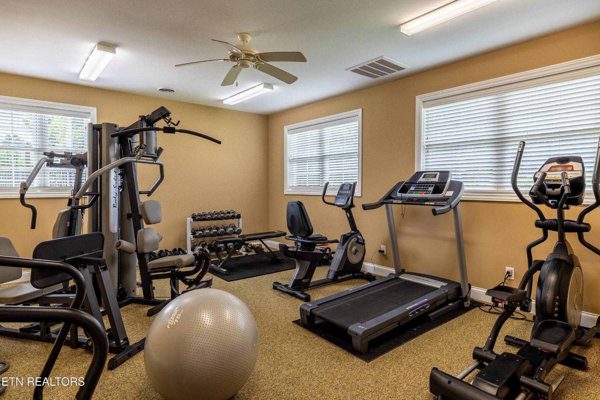 3109 Gazebo Point Way Knoxville, TN 37920 - Photo 55 of 57 a room with gym equipment and windows
