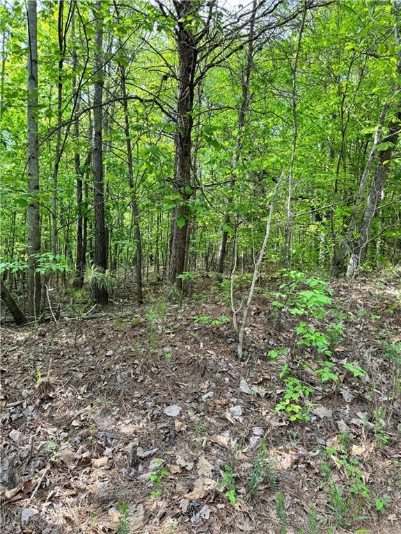 2 Shyers Ford Road Talking Rock, GA 30175 - Photo 6 of 22 Gallery Image 6