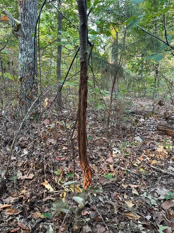 $503,900 | 34 Highway 34, Greenville, MO 63944