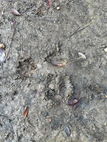 $503,900 | 34 Highway 34, Greenville, MO 63944