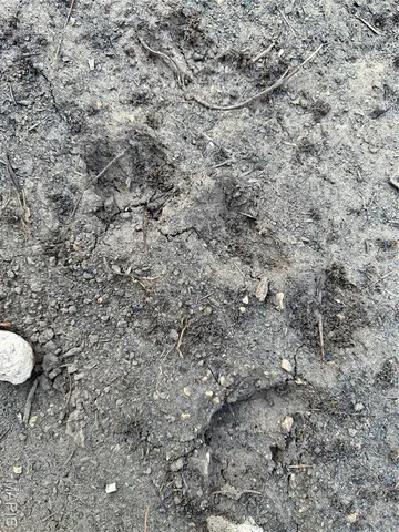 $503,900 | 34 Highway 34, Greenville, MO 63944