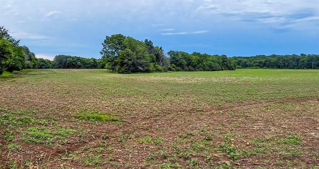 Tbd Road Rich Hill, MO 64779 - Photo 18 of 19