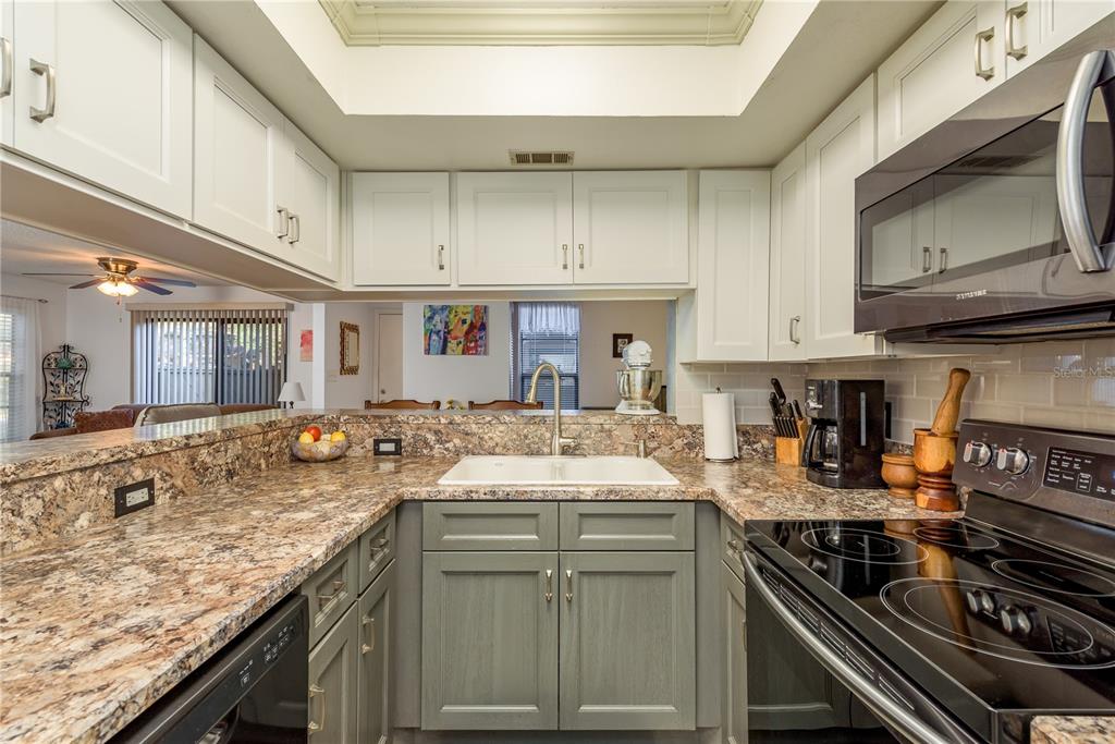 1901 Lennox Road East, Unit 1901 Palm Harbor, FL 34683 - Photo 8 of 25 a kitchen with granite countertop a sink stove and cabinets