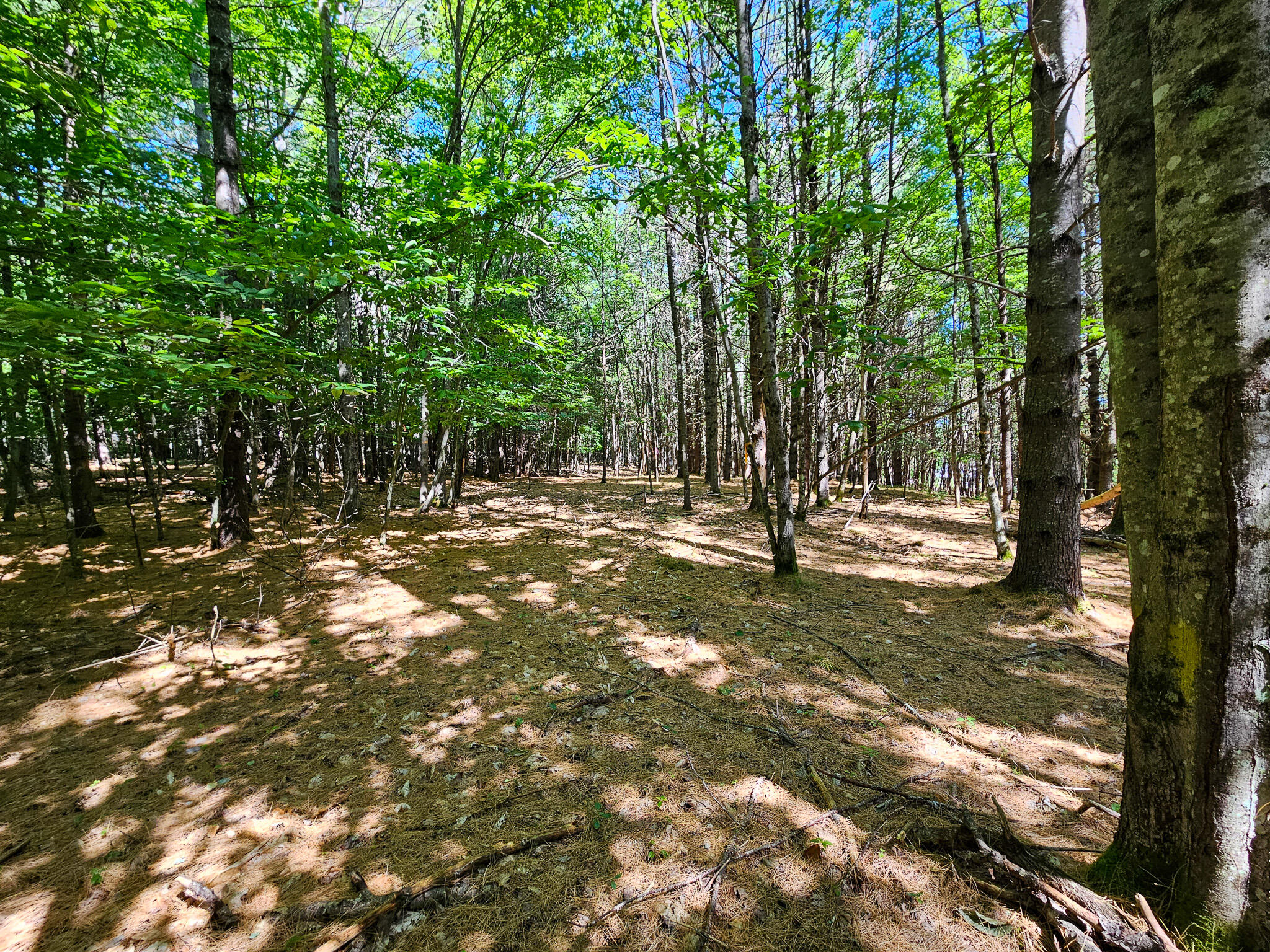 11-31-c Stone Hill Road Farmington, ME 04938 - Photo 13 of 22