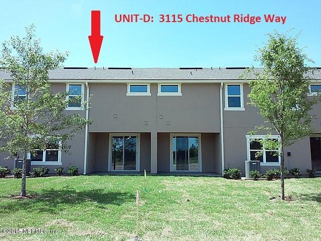 3115 Chestnut Ridge Way, Unit 20D Orange Park, FL 32065 - Photo 6 of 42 20D - Rear View - Straight - Blue Sky