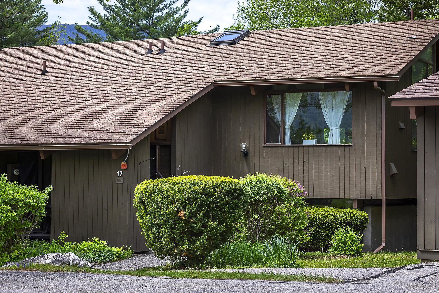 46 Murray Hill Heights Road, Unit 17 Manchester, VT 05255 - Photo 1 of 33