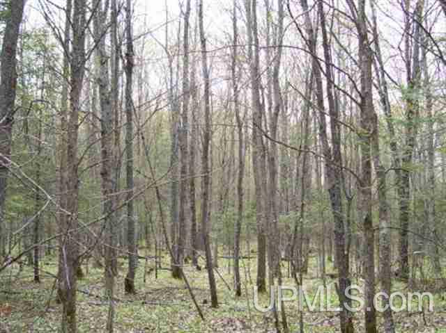 Tbd Off Paulson Road Crystal Falls, MI 49920 - Photo 2 of 2