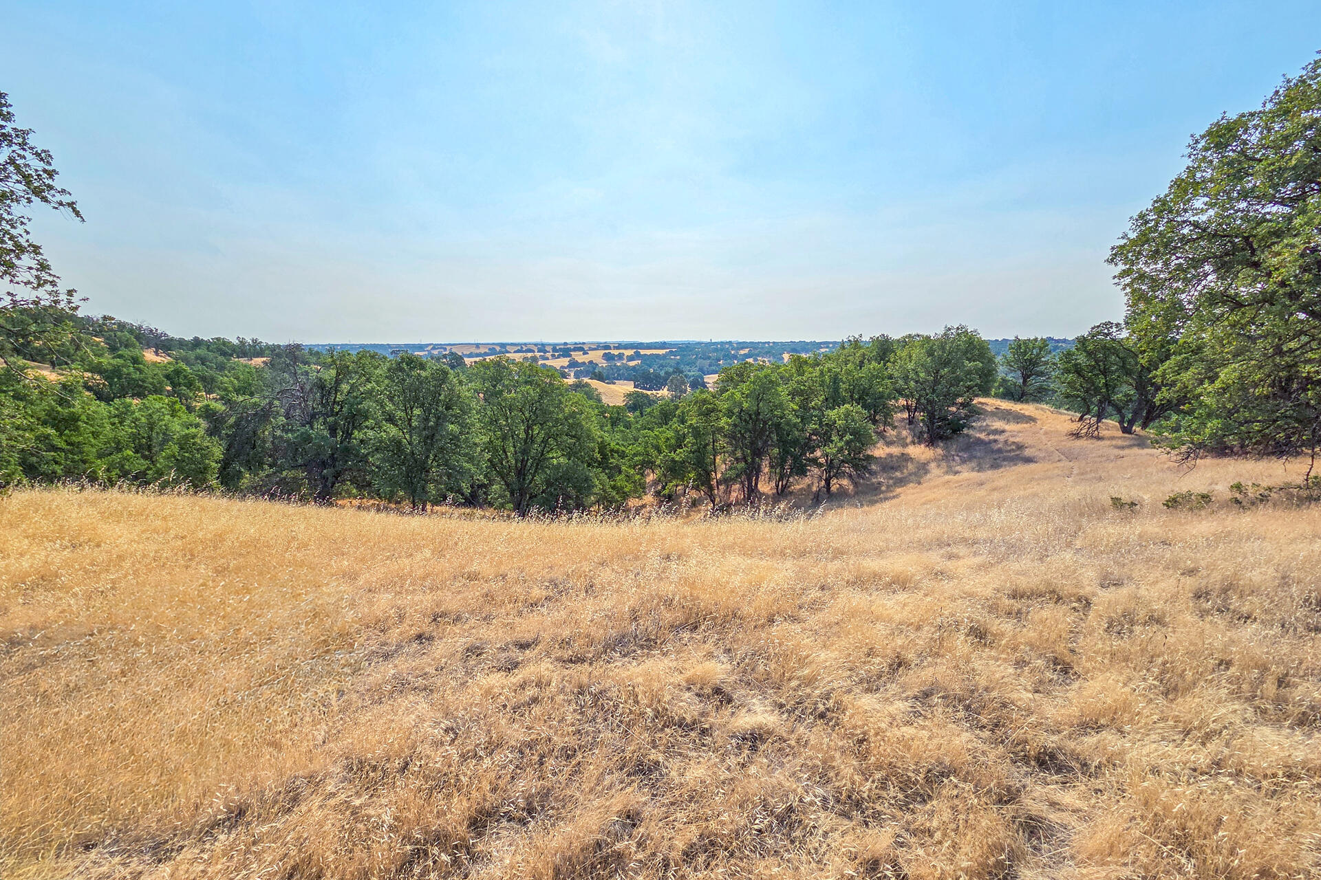 17560 Garrison Road Cottonwood, CA 96022 - Photo 8 of 25 20250711_091501