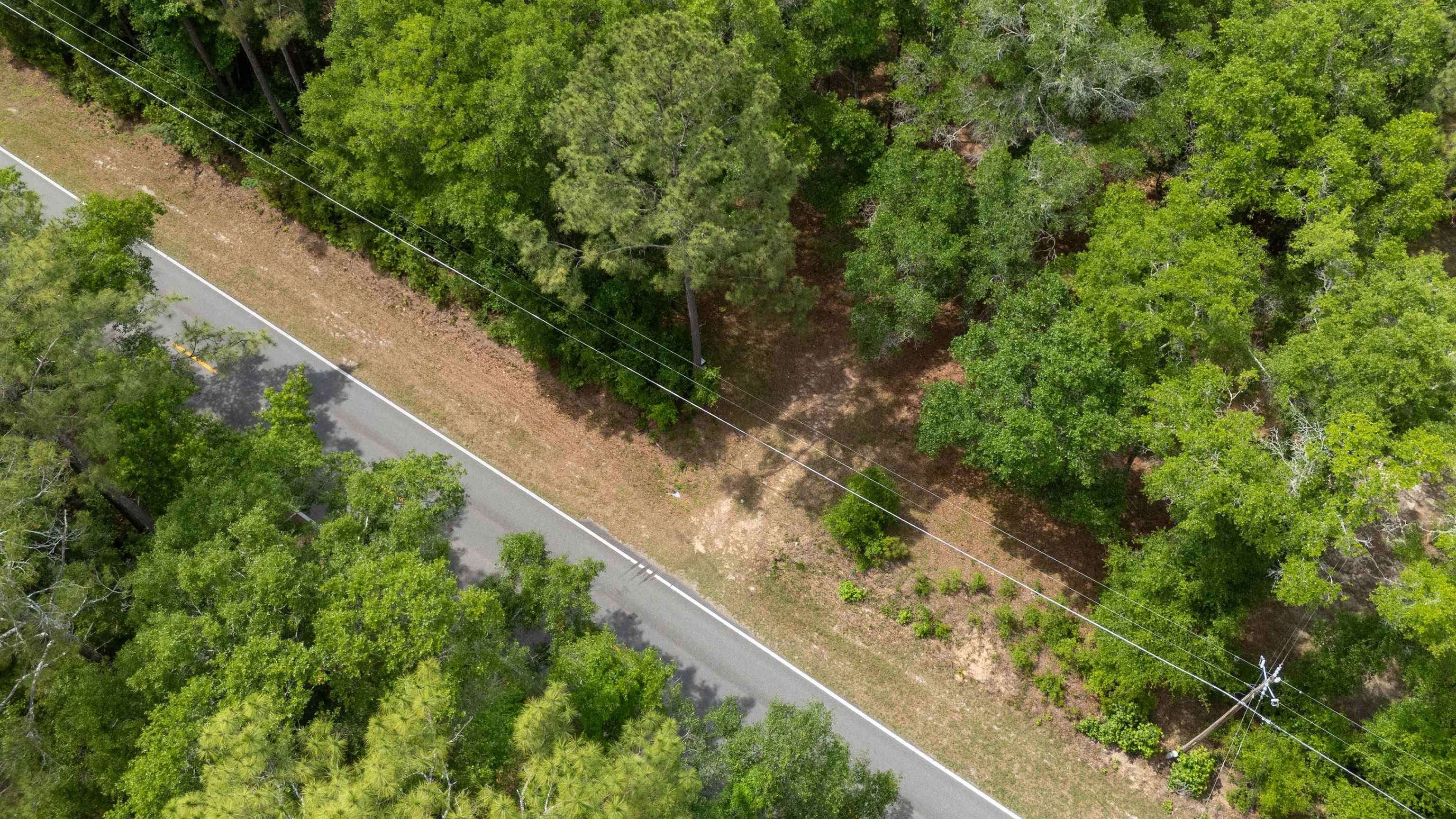 Tram Road Tallahassee, FL 32311 - Photo 9 of 29