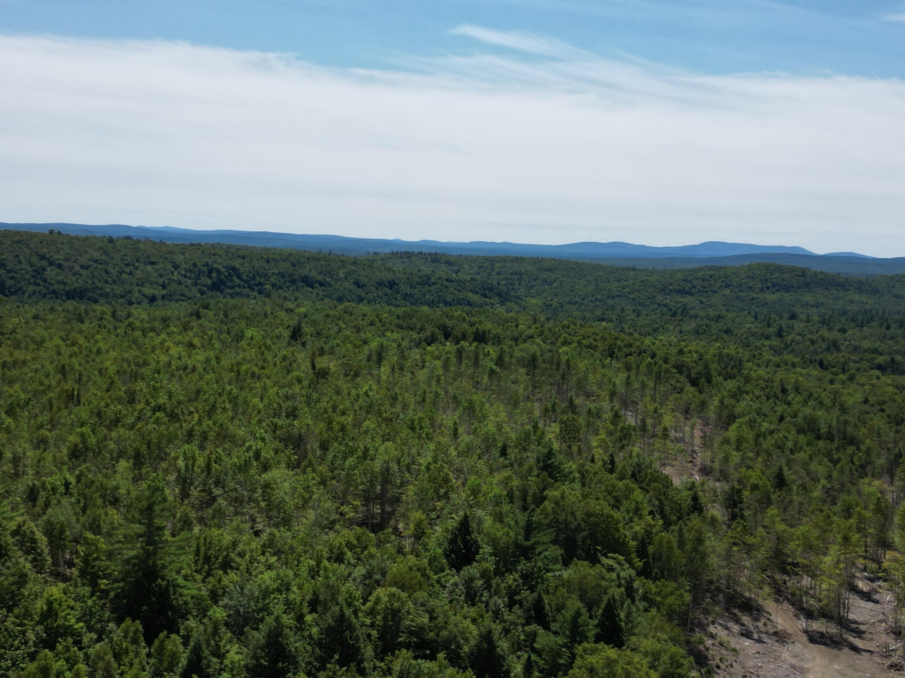 85 Cushman Ridge Road Springfield, ME 04487 - Photo 25 of 35 DJI_0267