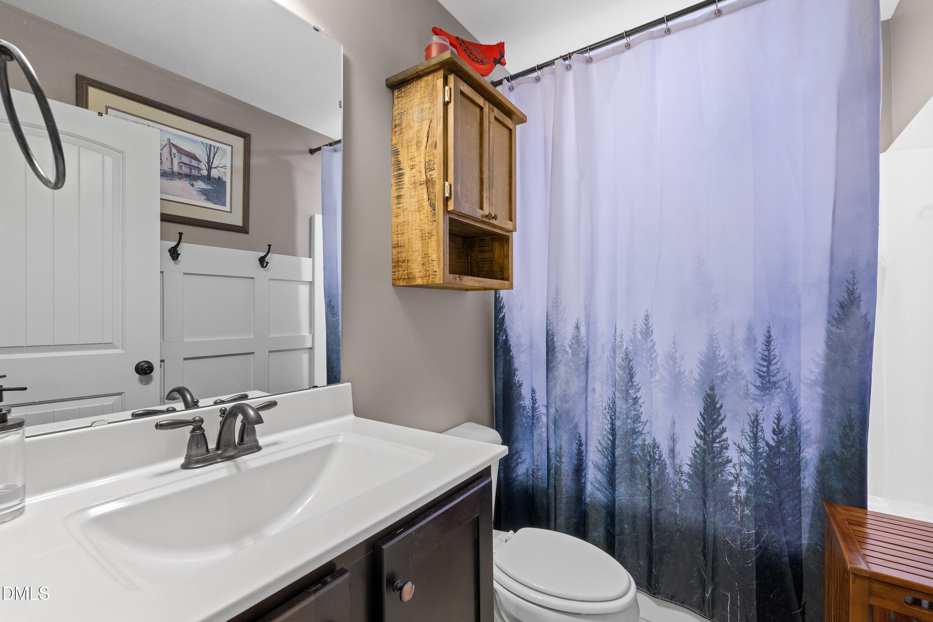 59 Coats Ridge Drive Benson, NC 27504 - Photo 32 of 44 a bathroom with a sink vanity mirror and toilet
