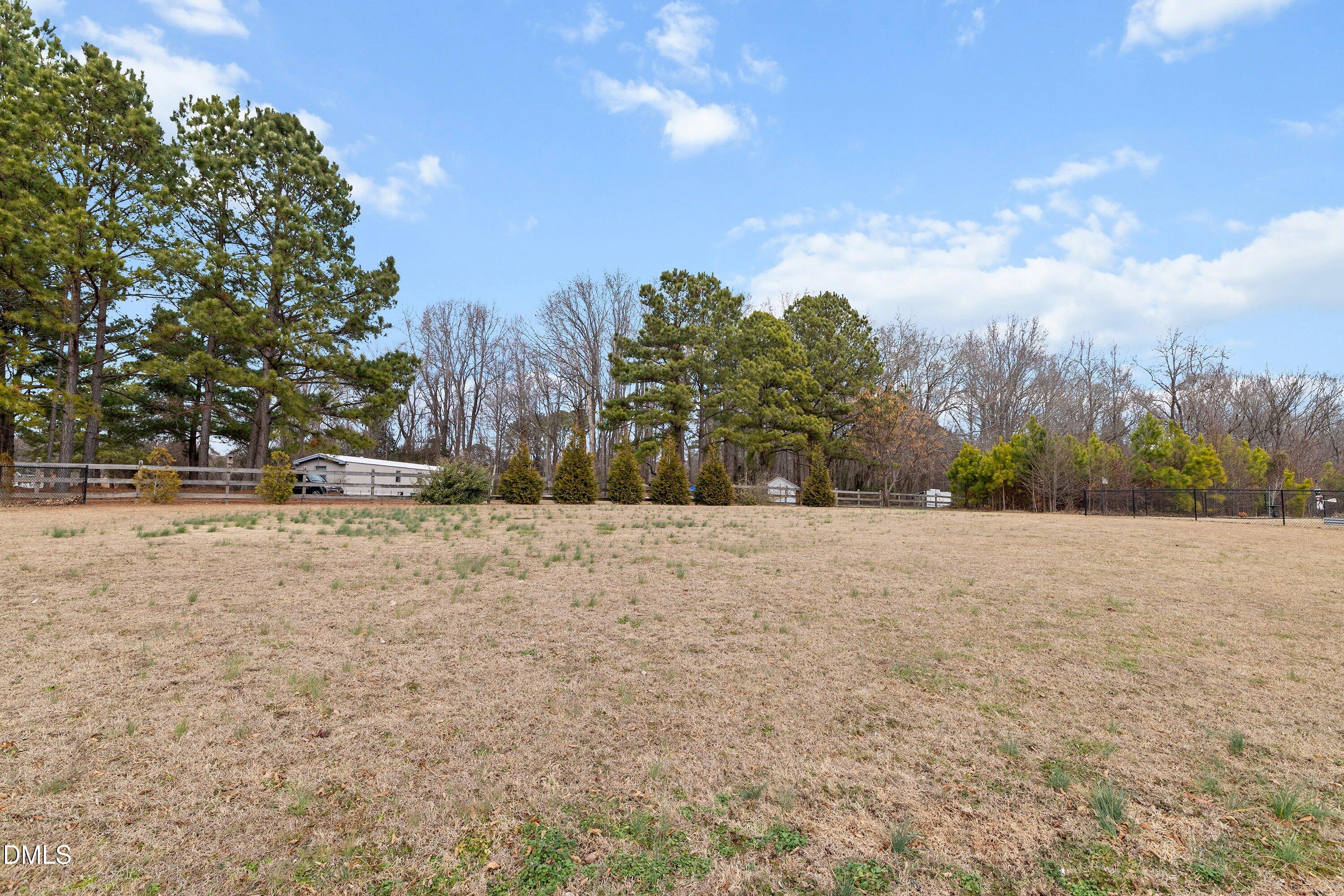 59 Coats Ridge Drive Benson, NC 27504 - Photo 41 of 44 a view of outdoor space with trees