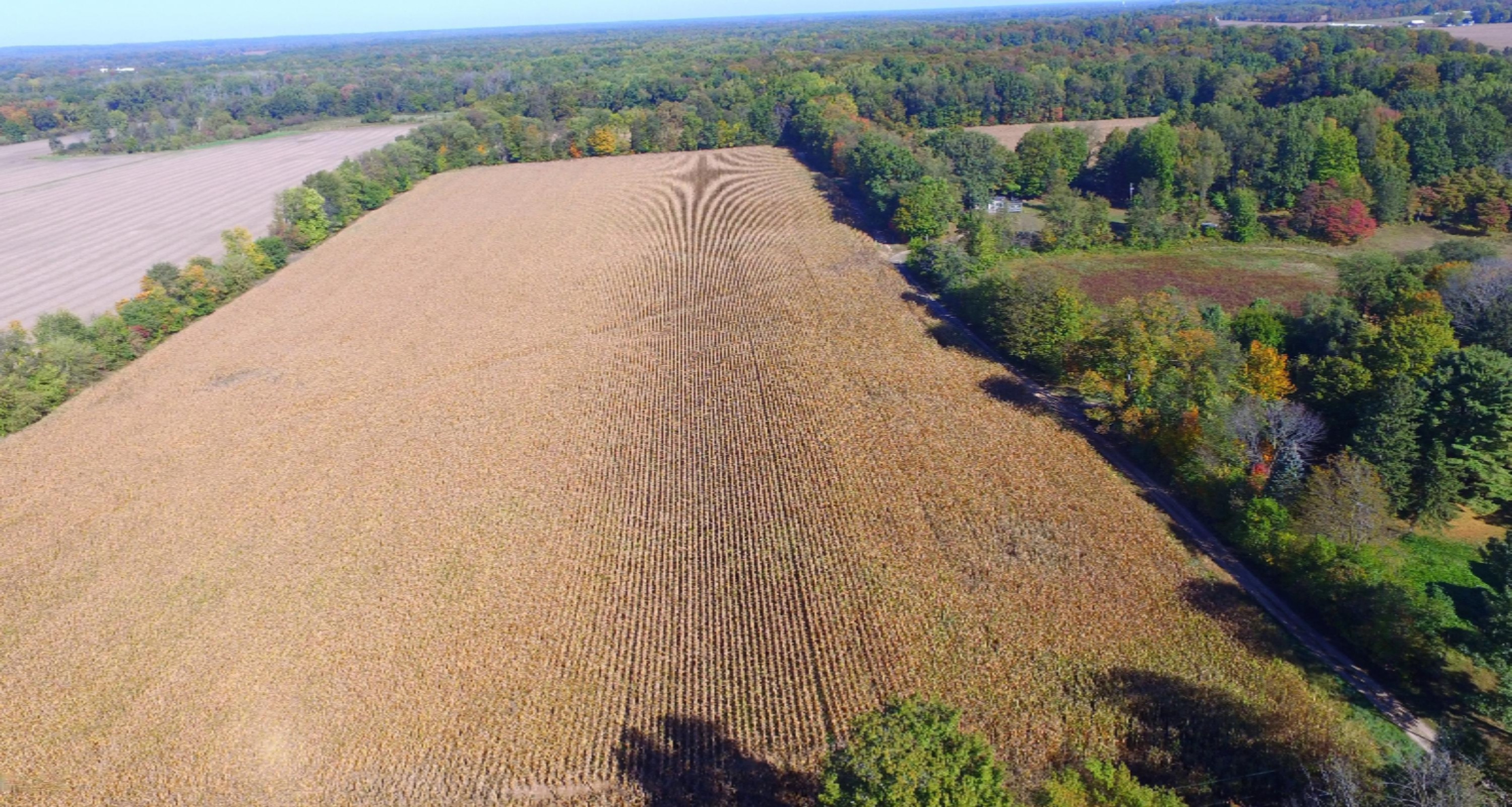 Hampshire Road Dowagiac, MI 49047 - Photo 2 of 7 Facing North