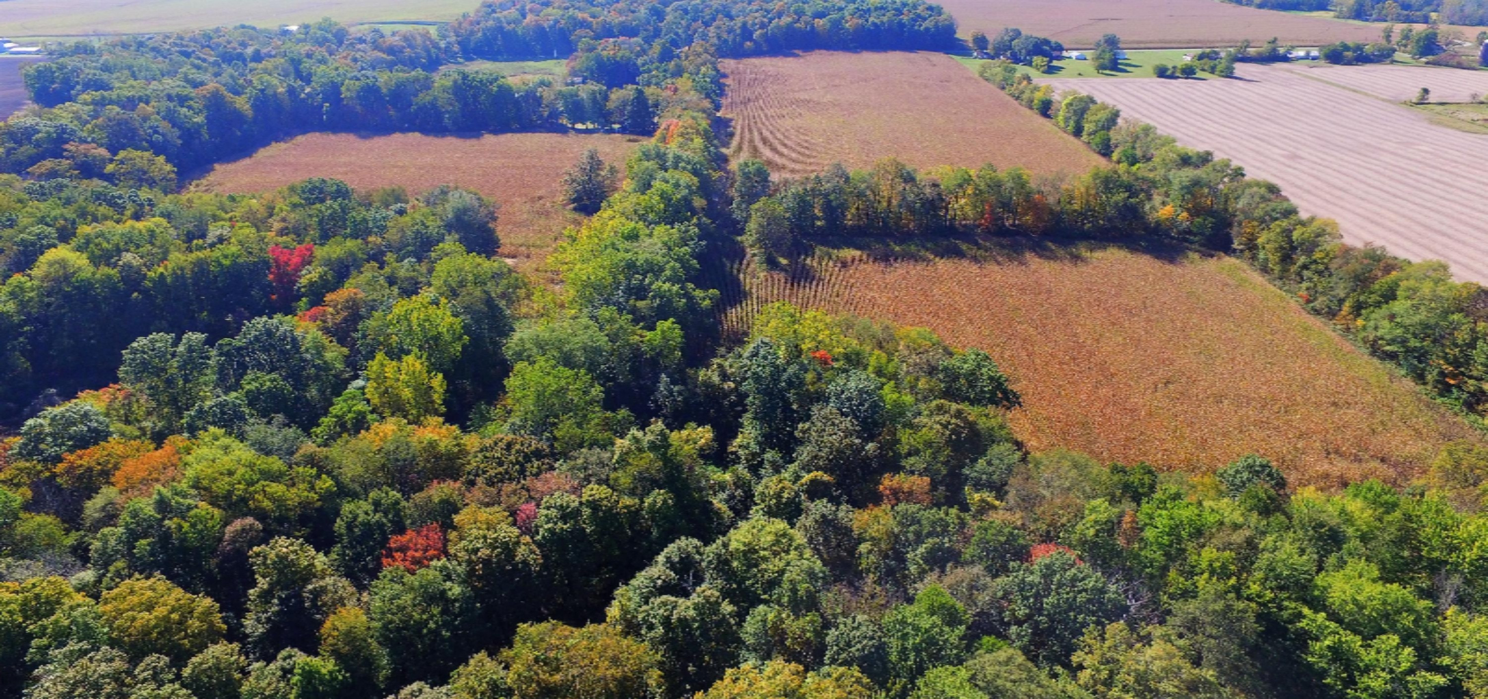Hampshire Road Dowagiac, MI 49047 - Photo 3 of 7 Facing South