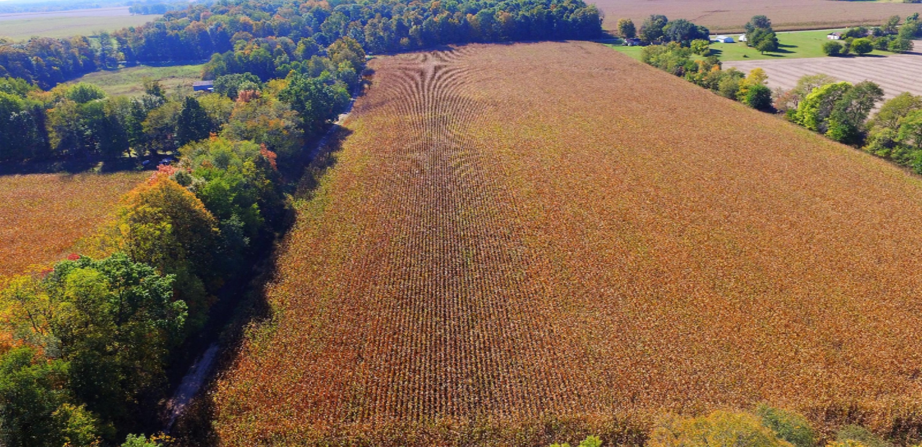 Hampshire Road Dowagiac, MI 49047 - Photo 4 of 7 South View