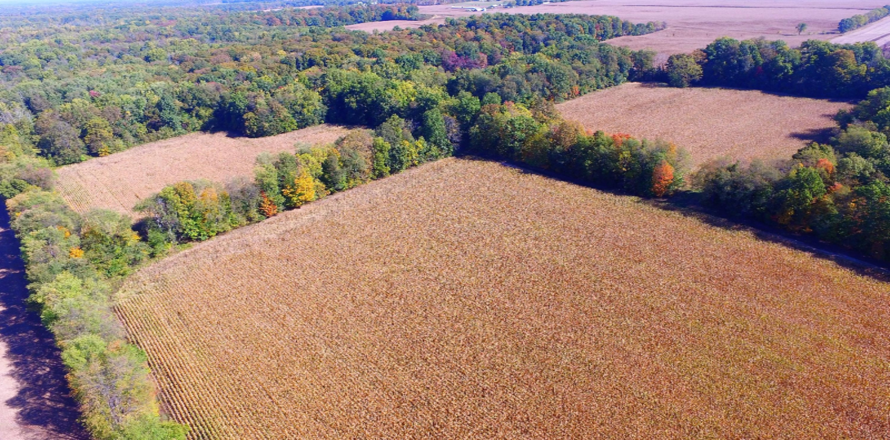 Hampshire Road Dowagiac, MI 49047 - Photo 5 of 7 Northeast