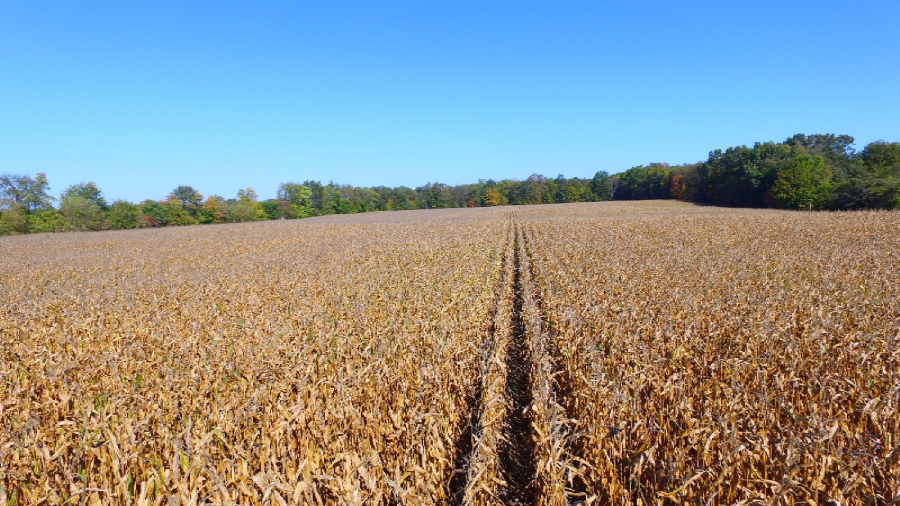 Hampshire Road Dowagiac, MI 49047 - Photo 6 of 7 1