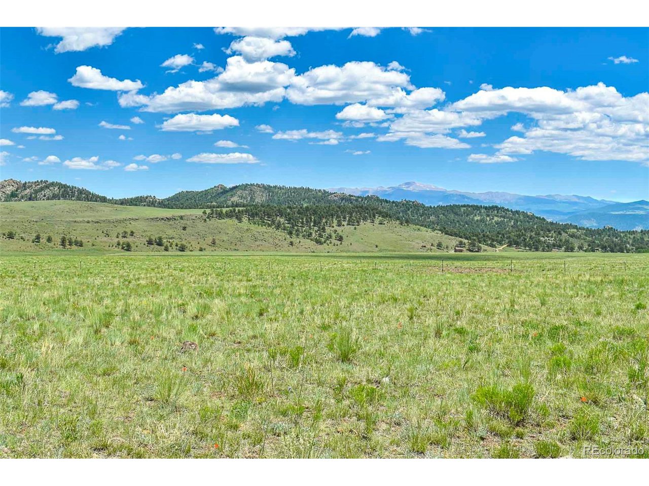 63 County Road Guffey, CO 80820 - Photo 16 of 35 Gallery Image 16